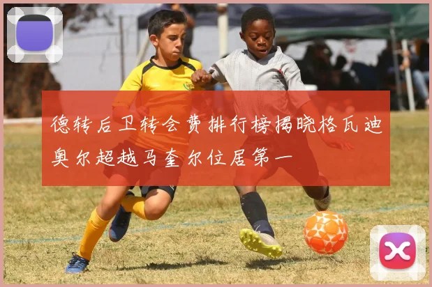 德转后卫转会费排行榜揭晓格瓦迪奥尔超越马奎尔位居第一